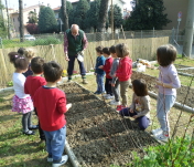 orto1